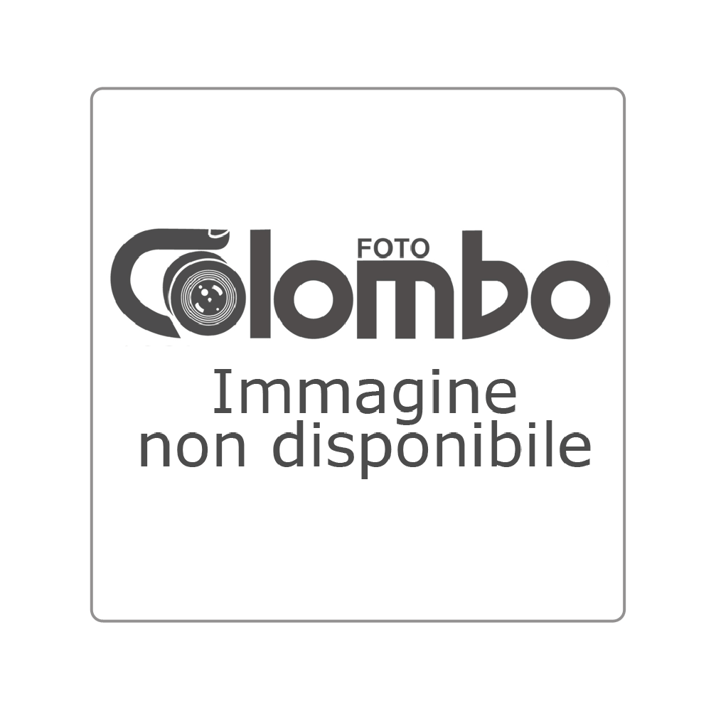 XP Bikes  I-D7 Unisex 26'' 60mm 7v 649wh XP Rear Motor Ash Grey Taglia Unica