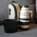 Canon EF 100-400mm f/4.5-5.6 L IS USM