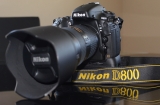 Nikon D800 + 24-70 2.8G ED