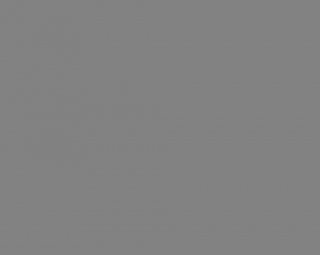 Fondale in Carta 2.72 x 11m Grigio Natural