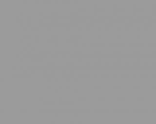 Fondale in Carta 2.72 x 11m Pursuit Grey