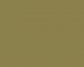 Fondale in Carta 2.72 x 11m Leaf