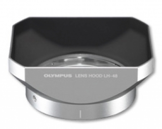 PARALUCE METALLO  LH48 SILVER