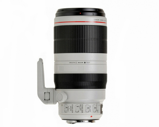 Canon EF 100-400mm f/4.5-5.6L IS II USM -Noleggio
