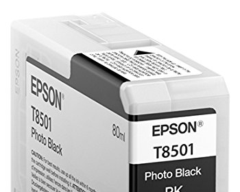 Cartouche EPSON Photo Noir T850100 P800