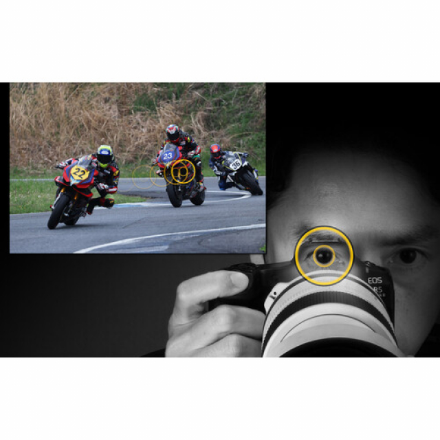 Canon Canon EOS R5 Mark II Body + RF 24-105mm F/4.0 L IS USM Kit