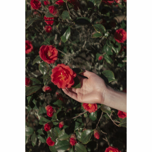 Polaroid Polaroid Hi Print 2x3 Cardridge - 60 stampe