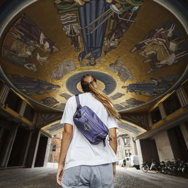 Osprey Osprey Transporter Waist Pack Pine Leaf Os