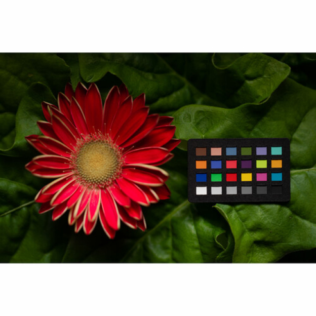 Calibrite Calibrite ColorChecker Classic Nano