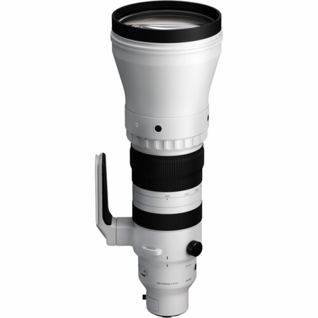Sigma Sigma ob. 300-600mm F/4 (S) DG OS L-Mount -Noleggio-