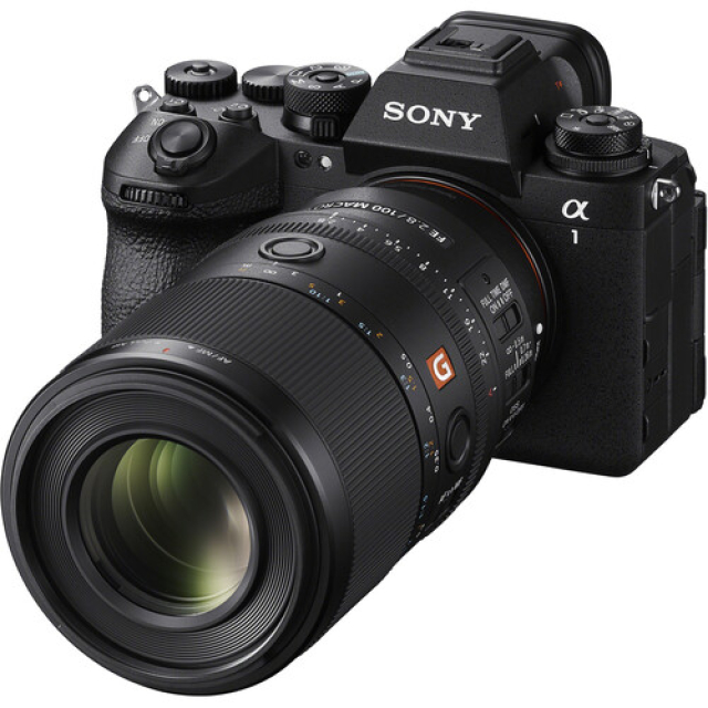 Sony Sony ob. FE 100mm F/2.8 Macro GM OSS Full-frame