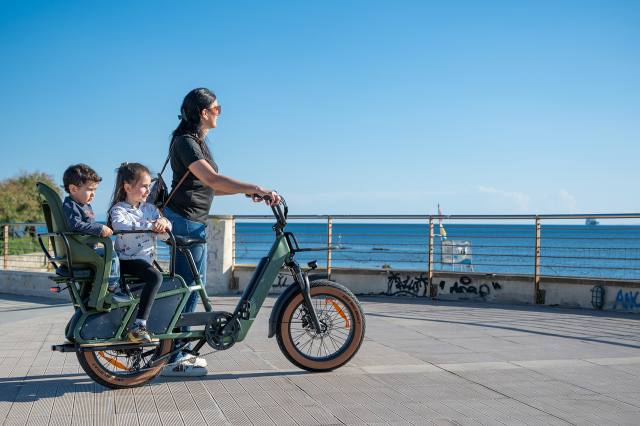 Xp bikes XP Bikes X-LOAD 2.0 20'' 7v 960Wh XP Rear Motor Verde Taglia Unica