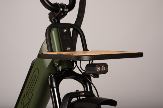 Xp bikes XP Bikes X-LOAD 2.0 20'' 7v 960Wh XP Rear Motor Verde Taglia Unica