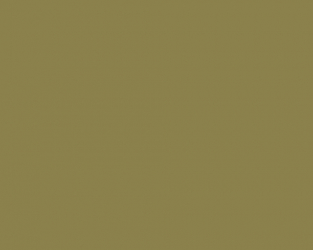 Basic Fondale in Carta 2.72 x 11m Leaf