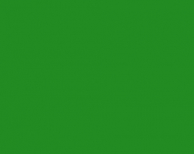 Basic Fondale in Carta 2.72 x 11m Chroma Key