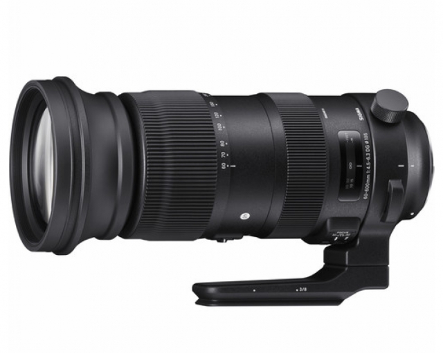 Sigma SIGMA OB. 60-600 f/4,5-6,3 DG OS HSM x Canon Sport-NOLEGGIO