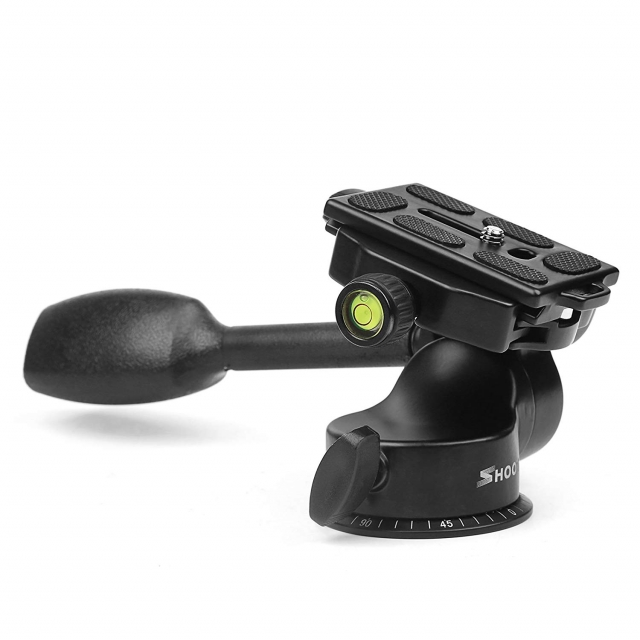 Shoot Shoot Testa video