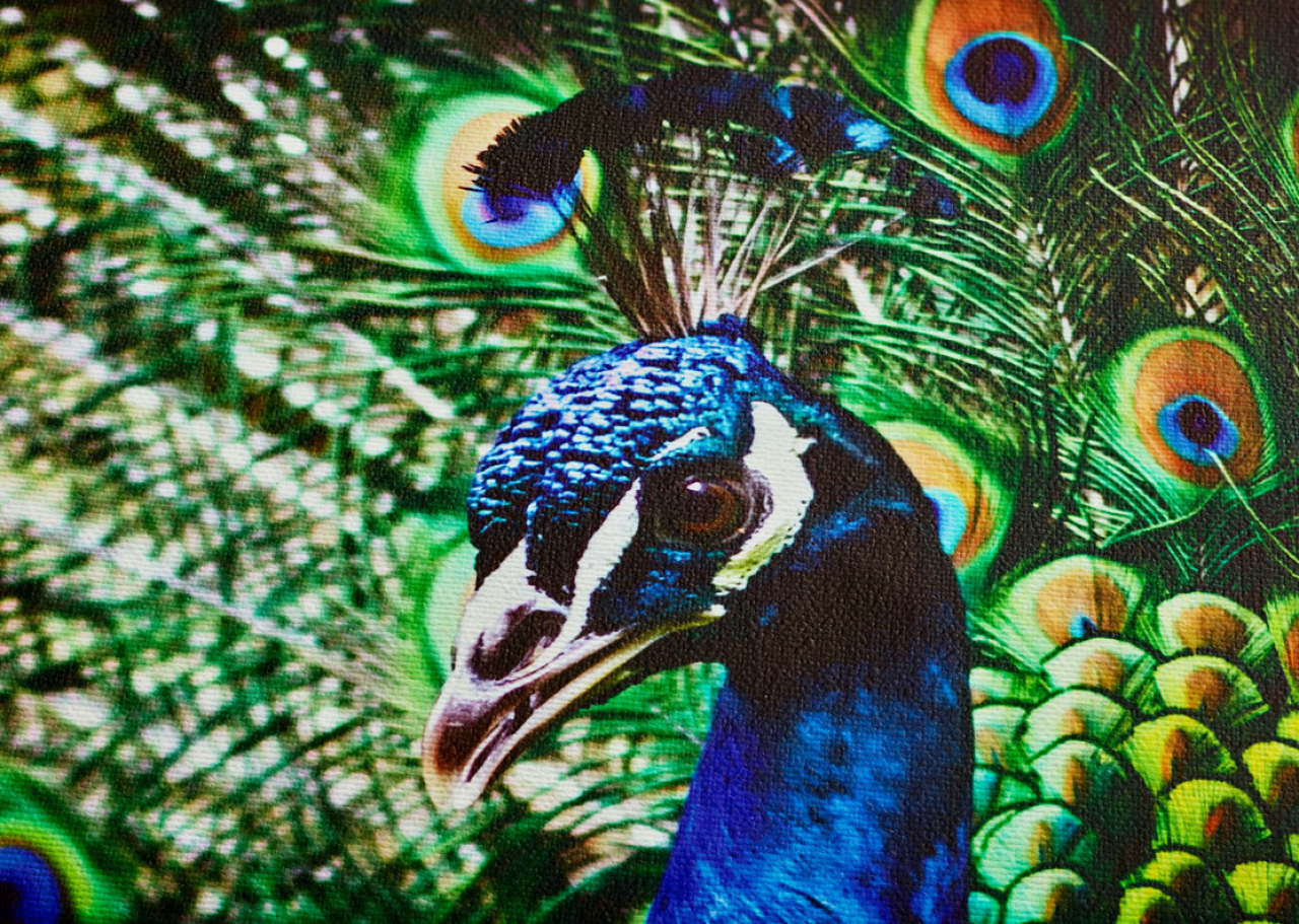 Breathing color Couleur respirante Rouleau de satin cristallin 17x40