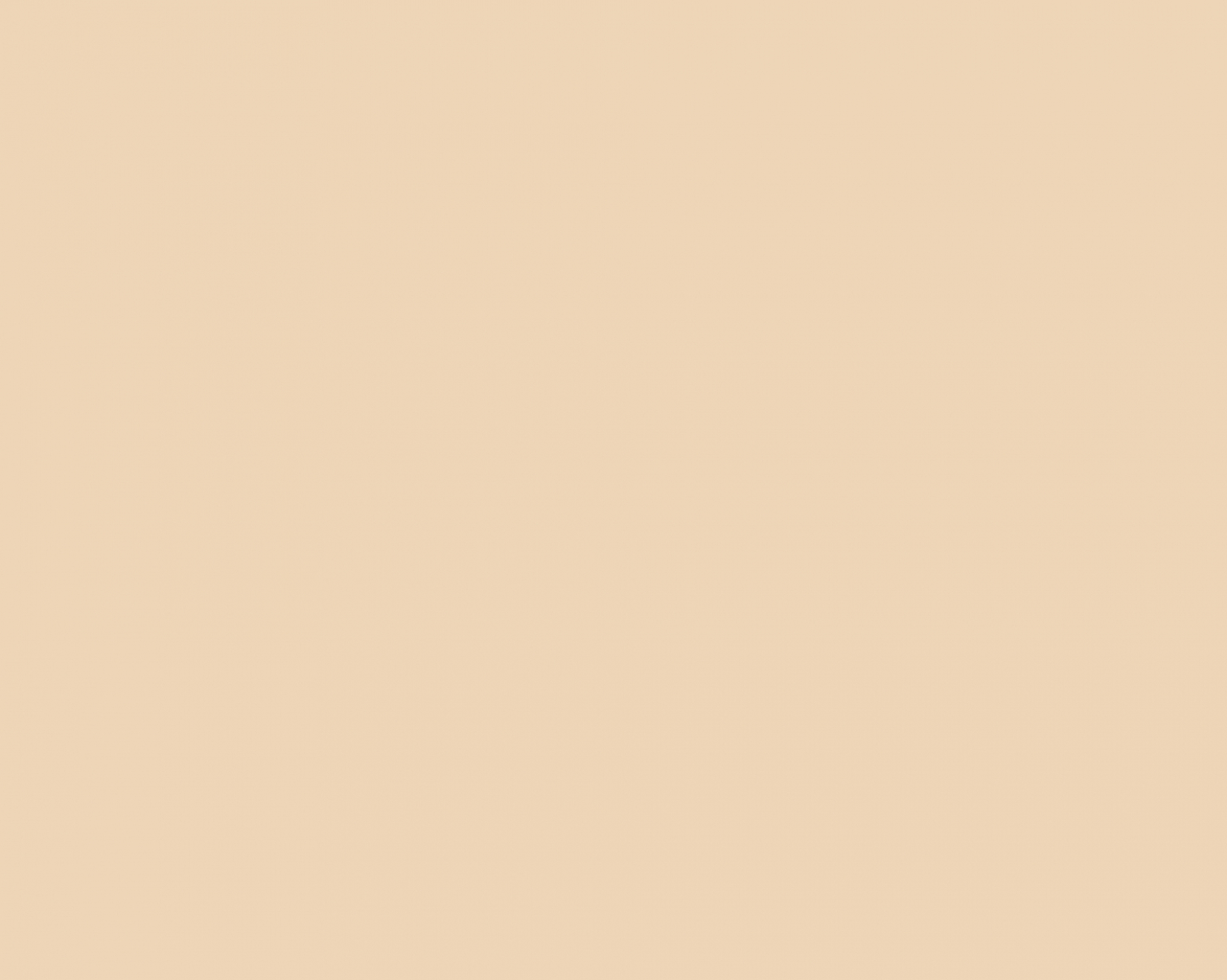 Basic Fondale in Carta 2.72 x 10m Pongce