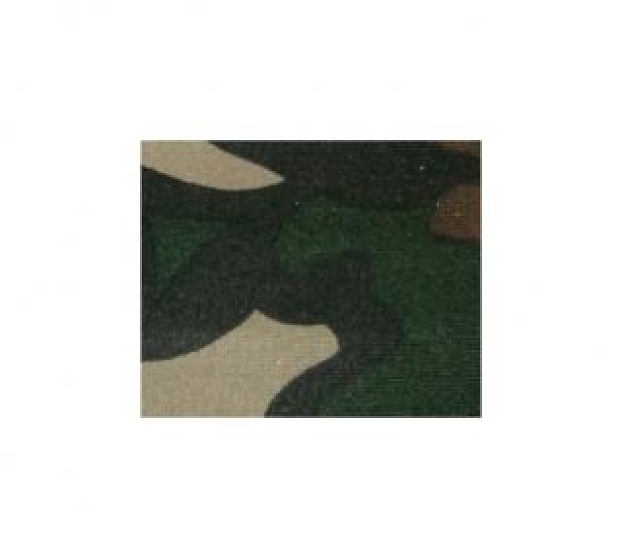 Lens coat Couche d'objectif pour Canon 180 Macro FG Camo