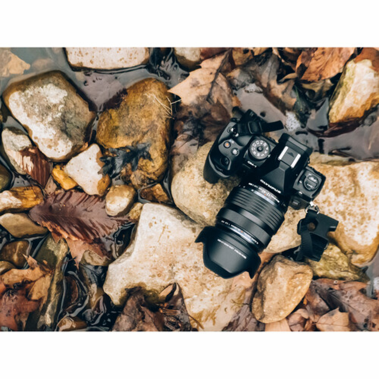 Om system olympus Olympus OM SYSTEM M.Zuiko Digital ED 12-40mm f/2.8 PRO II Lens