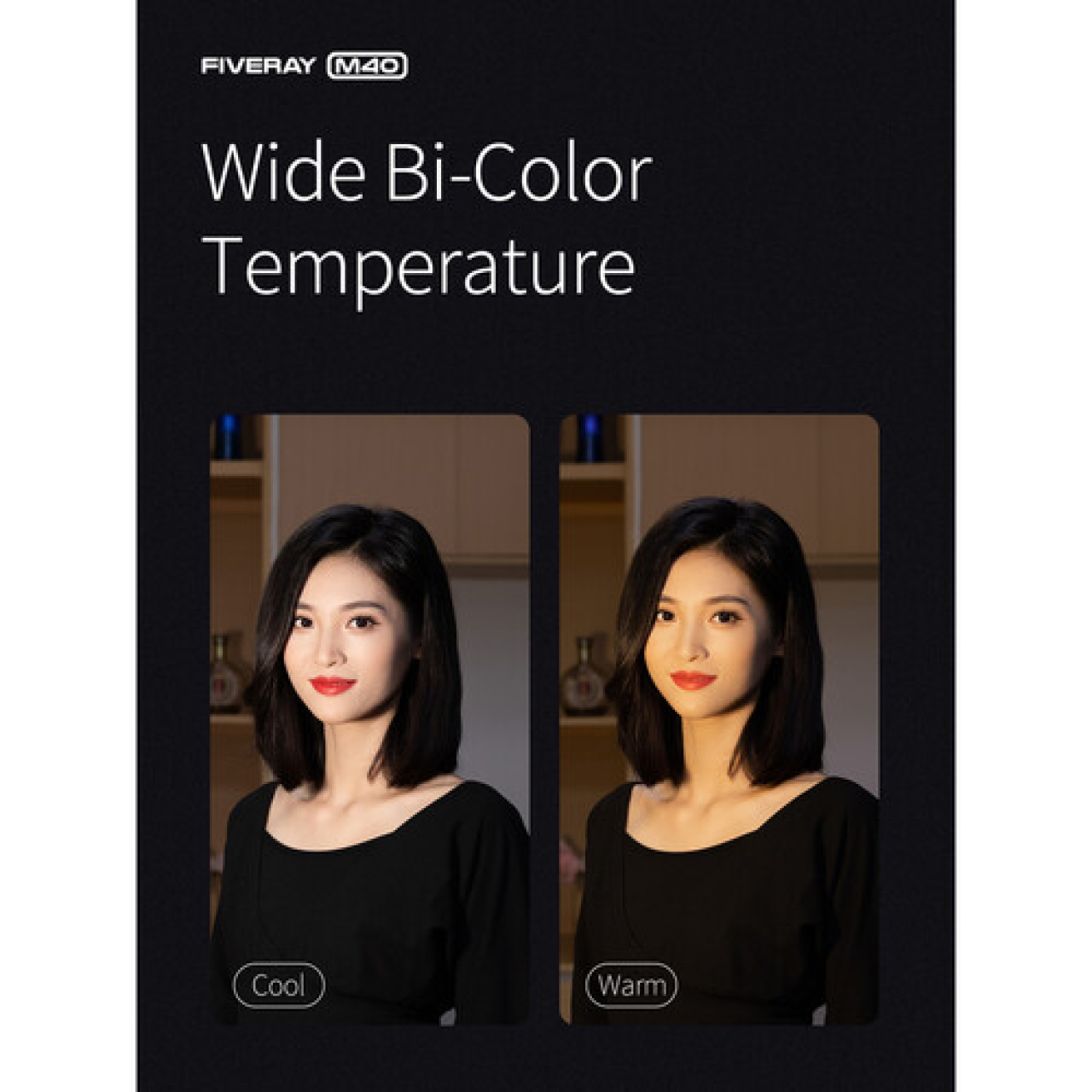 Zhiyun Zhiyun illuminatore Fiveray M40