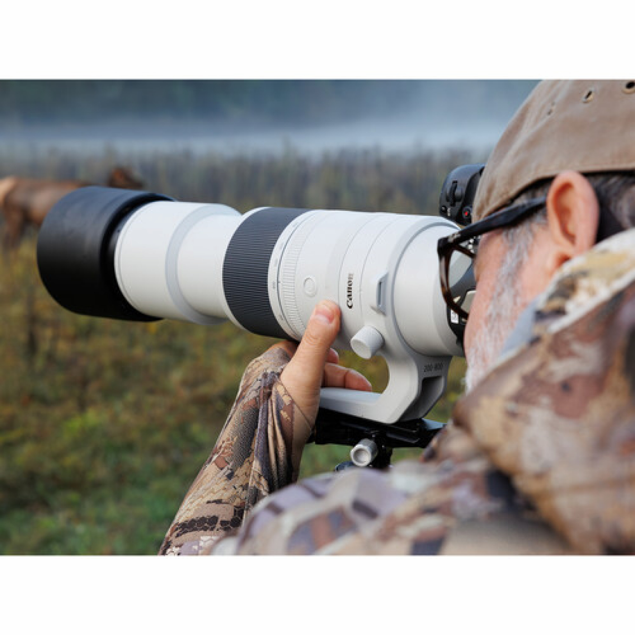 Canon Canon RF 200-800mm F6.3-9.0 IS USM