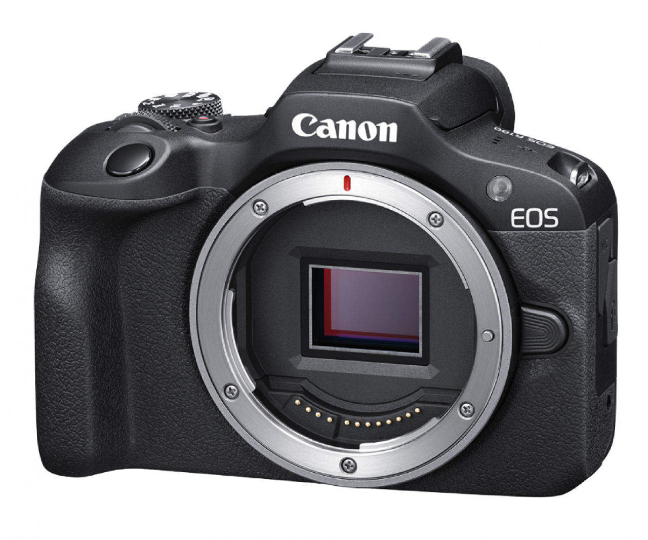 Canon Canon EOS R100  Solo corpo