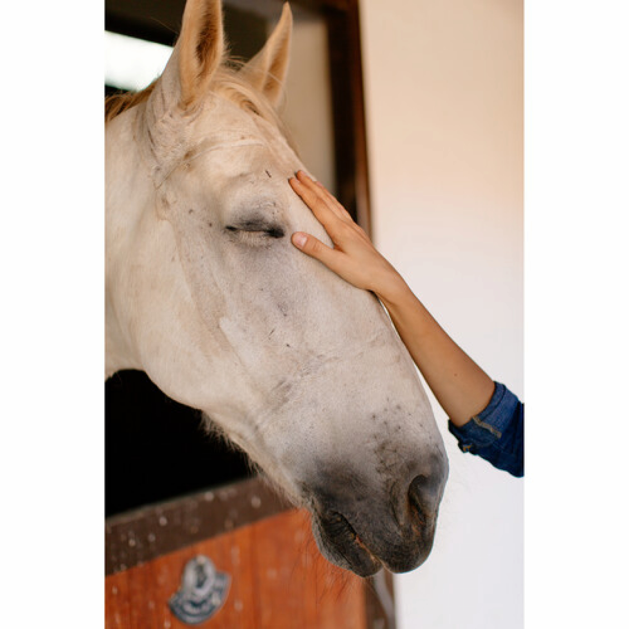 Polaroid Polaroid Hi Print 2x3 Cardridge - 60 stampe