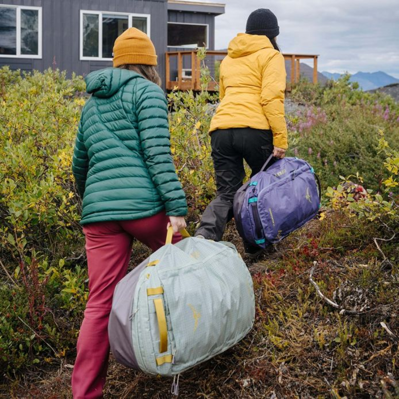 Osprey Osprey Transporter Duffel 65 Euphoria Purple Os