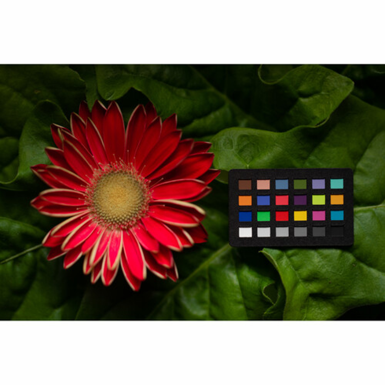Calibrite Calibrite ColorChecker Classic Nano