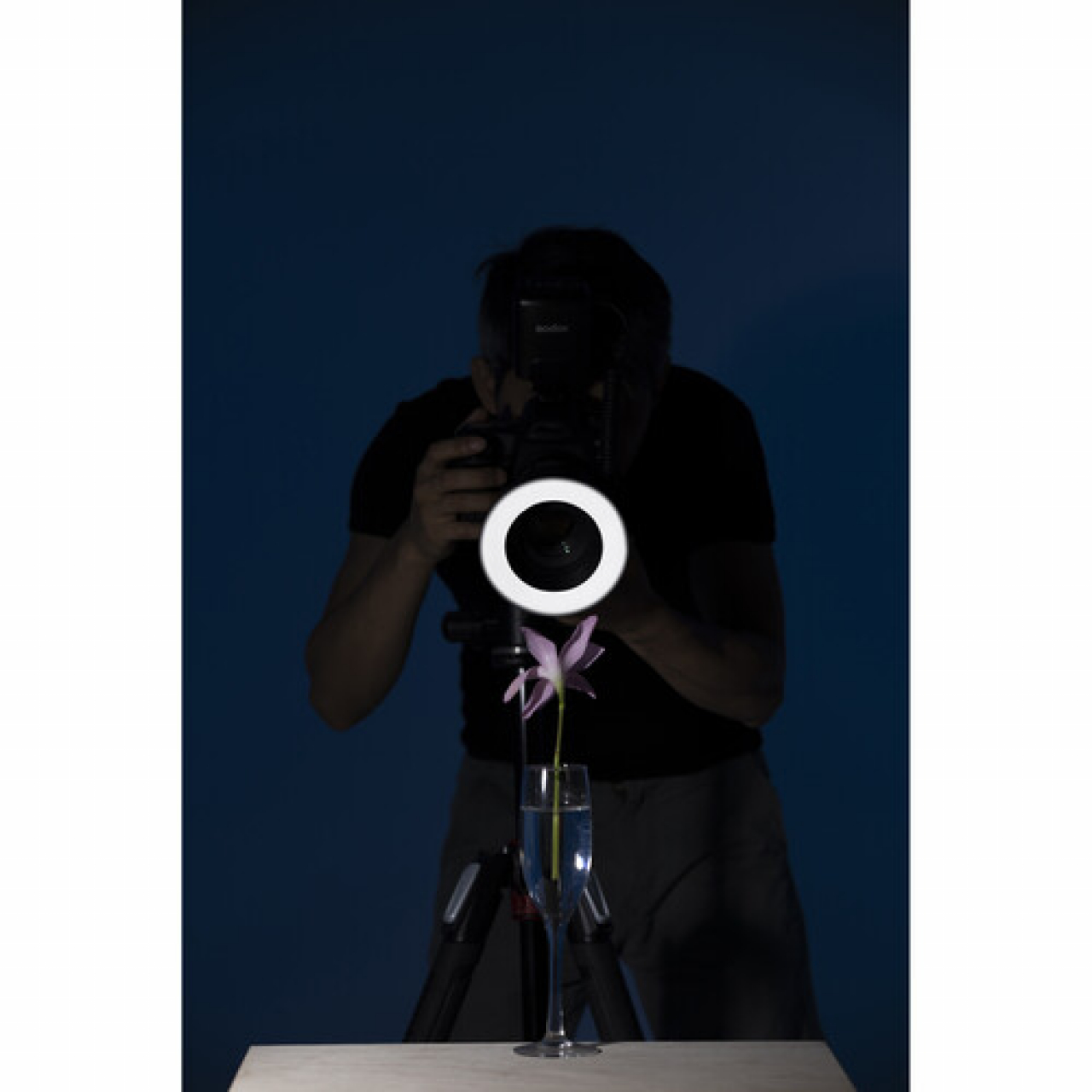 Godox Godox Flash Anulare Macro ML-150 II