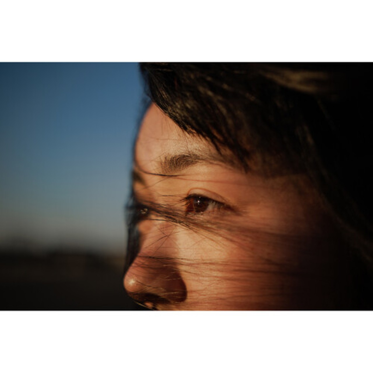 Sigma Sigma 17-40mm F1.8 DC Art Canon RF