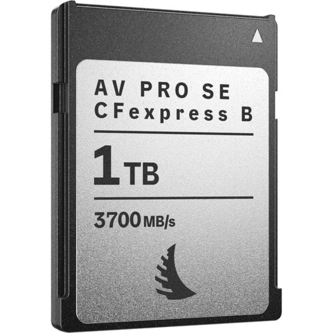 Angelbird Angelbird AV PRO SE CFexpress Type B v4 MK2 1TB 3700Mb/s