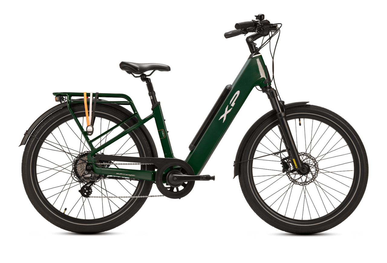Xp bikes XP Bikes  I-D8.4 26'' 60mm 8v 865wh XP Rear Motor Dark Green Taglia Unica