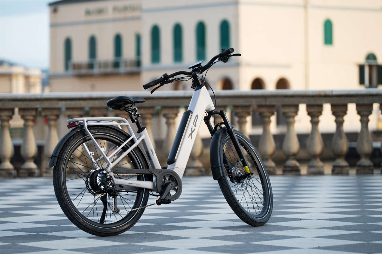 Xp bikes XP Bikes  I-D9.4 27.5'' 60mm 9v 865wh XP Rear Motor Dark Coffee Taglia Unica