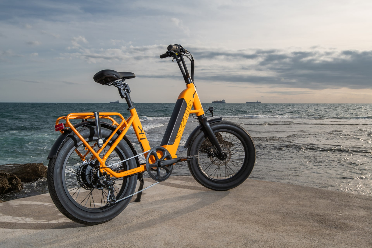Xp bikes XP Bikes I-K Lite 20'' 60mm 7v 649Wh XP Rear Motor Arancio Taglia Unica