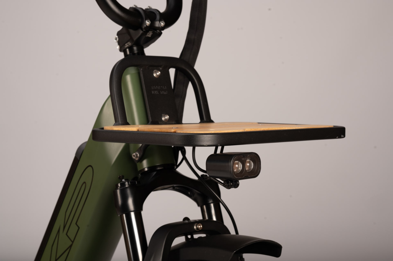 Xp bikes XP Bikes X-LOAD 2.0 20'' 7v 960Wh XP Rear Motor Verde Taglia Unica