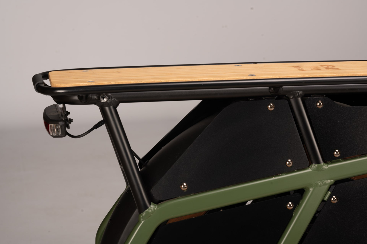 Xp bikes XP Bikes X-LOAD 2.0 20'' 7v 960Wh XP Rear Motor Verde Taglia Unica