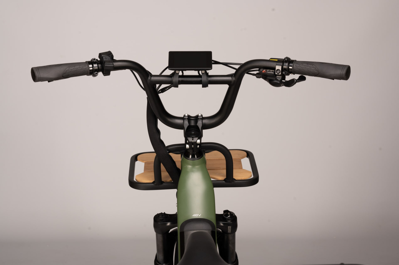 Xp bikes XP Bikes X-LOAD 2.0 20'' 7v 960Wh XP Rear Motor Verde Taglia Unica