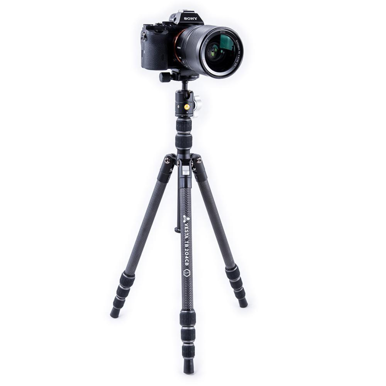 Vanguard Vanguard Vesta TB 204CB Treppiede Carbonio da Viaggio