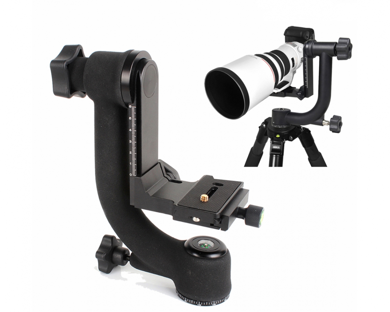 Ffd FFD - Testa Gimbal