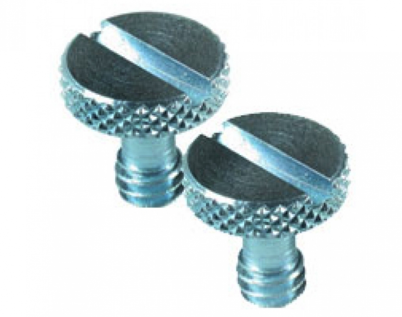 Manfrotto Manfrotto - Coppia viti 1/4 R116.138