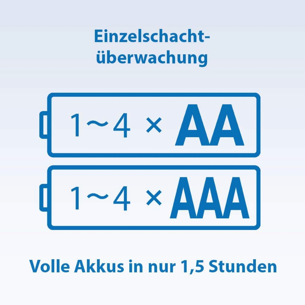 Panasonic lumix PANASONIC Charger + 4PZ Ni-MH AA 1900Mah -Ricaricabili