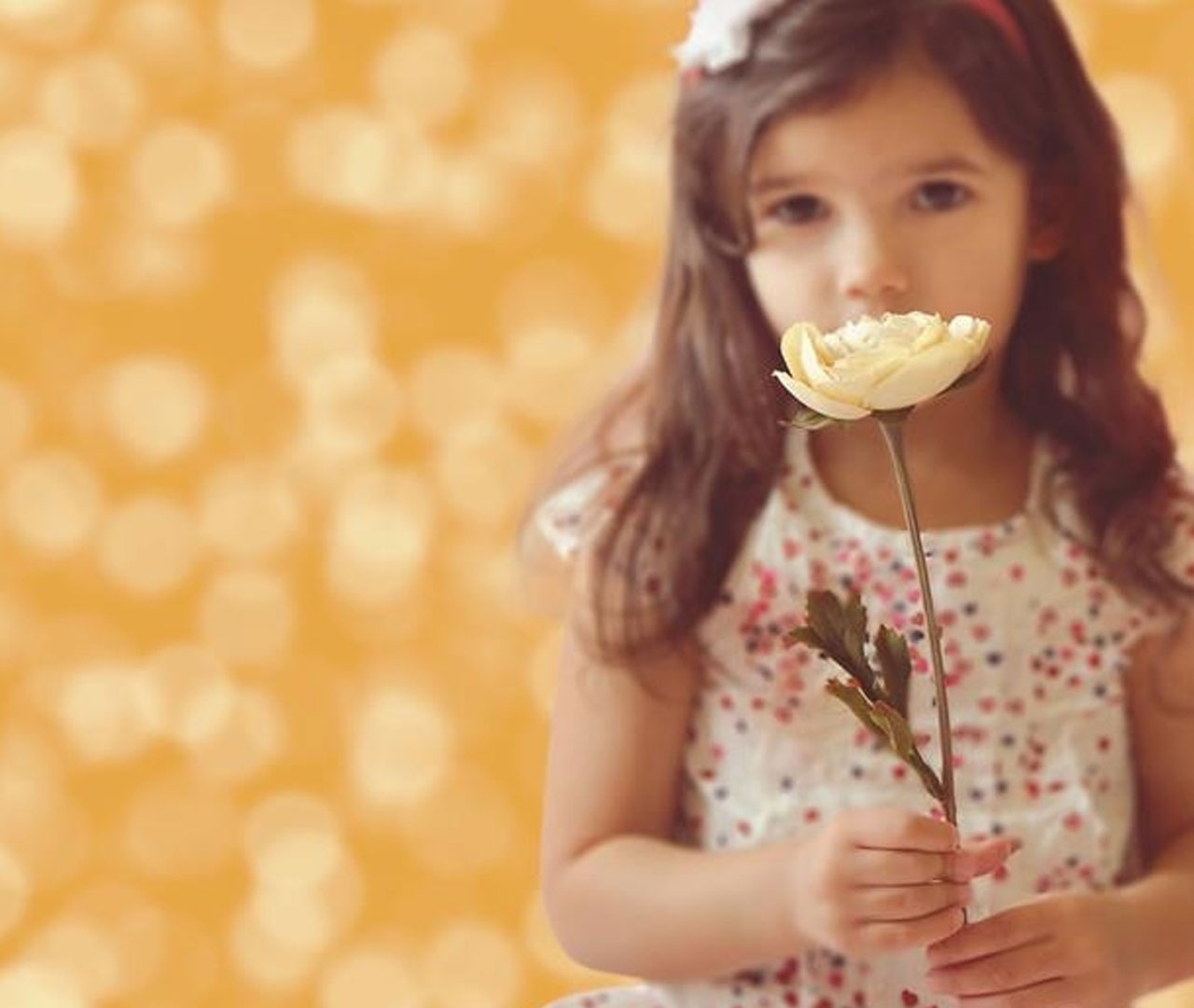 Fondali Fond en papier 1,21x3,6m - Bokeh doré