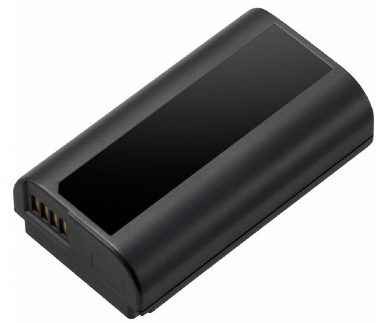 Panasonic lumix Panasonic batteria per S1 e S1R - DMW-BLJ31