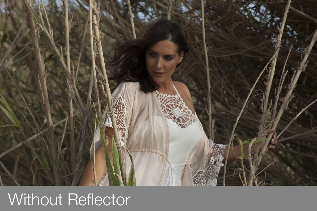 Lastolite Lastolite Pannello circolare Arg./Bianco Ø 75 cm