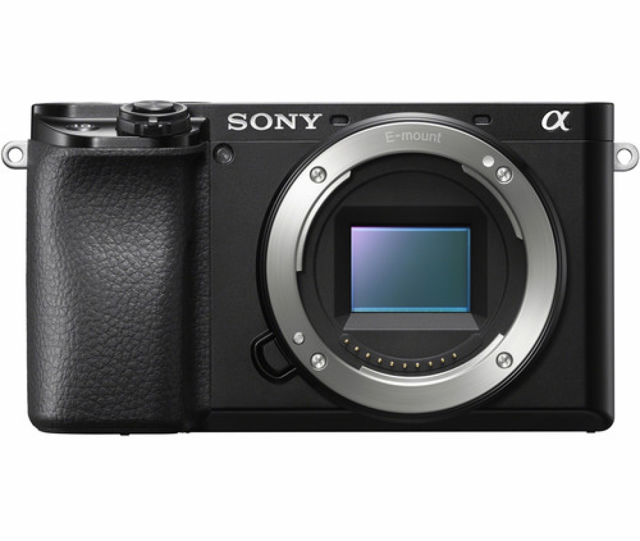 Sony Sony - A6100 Black - Solo Corpo
