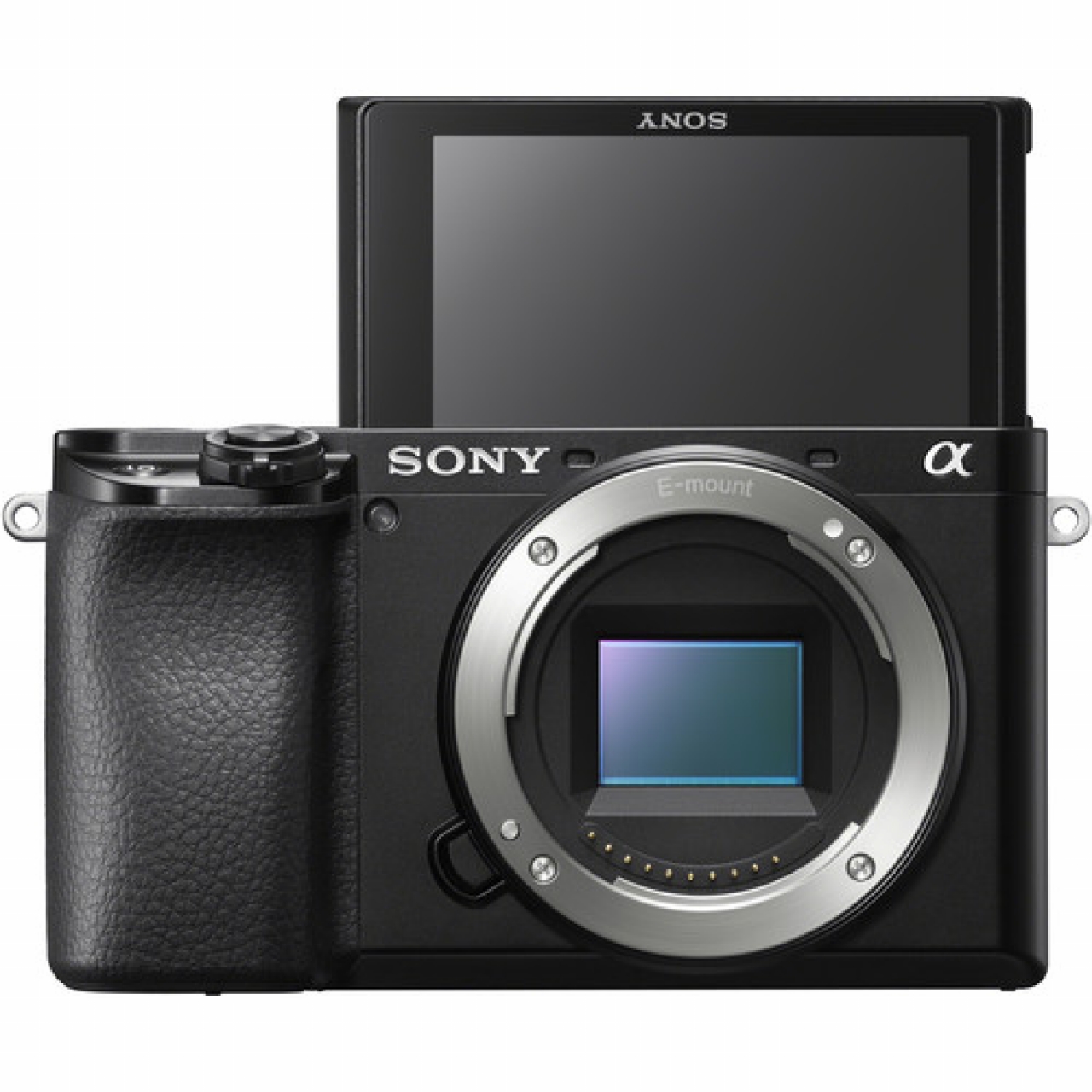 Sony Sony - A6100 Black - Solo Corpo