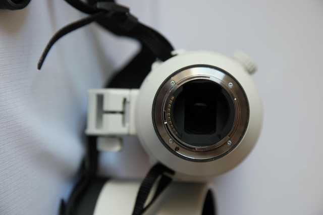 Sony Sony FE 200–600 MM F5.6–6.3 G OSS